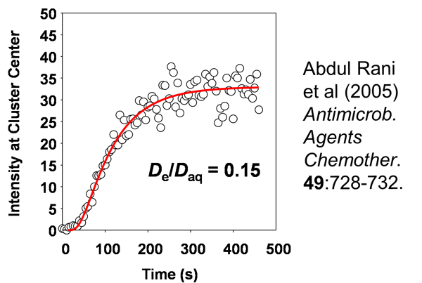 Diffusion in S. epidermidis biofilm