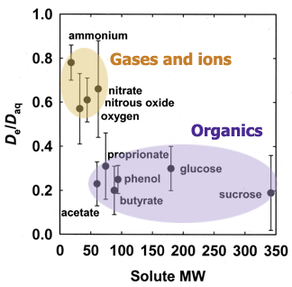 diffusion coefficients of selected solutes in biofilms