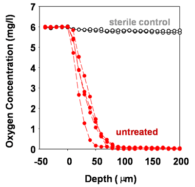 Oxygen in P. aeruginosa