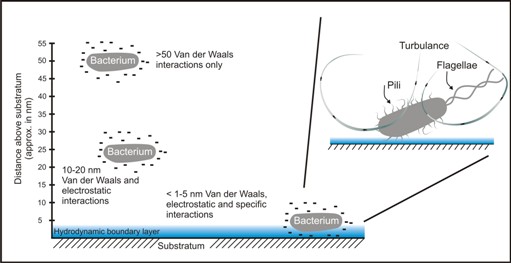 Van der Waals forces