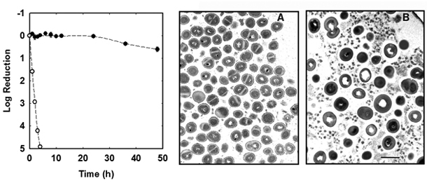 Antimicrobial Graph