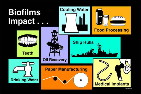 Biofilms Impact