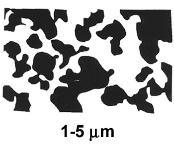 Biofilm Lifecycle