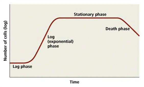 Standard Growth curve