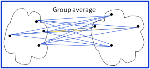 Group Average