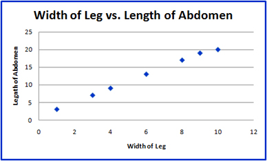 Scatter Plot